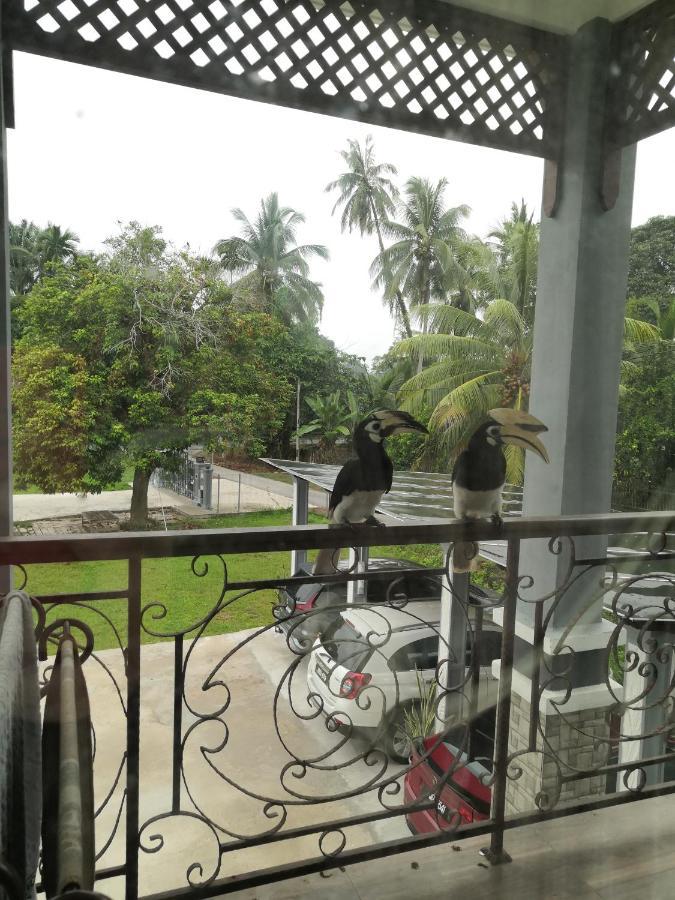 Darney'S Homestay Kg Bangau Tanjung تميرلوه المظهر الخارجي الصورة